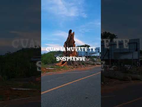 ados días de la tragedia en Agua blanca jutiapa #que triste