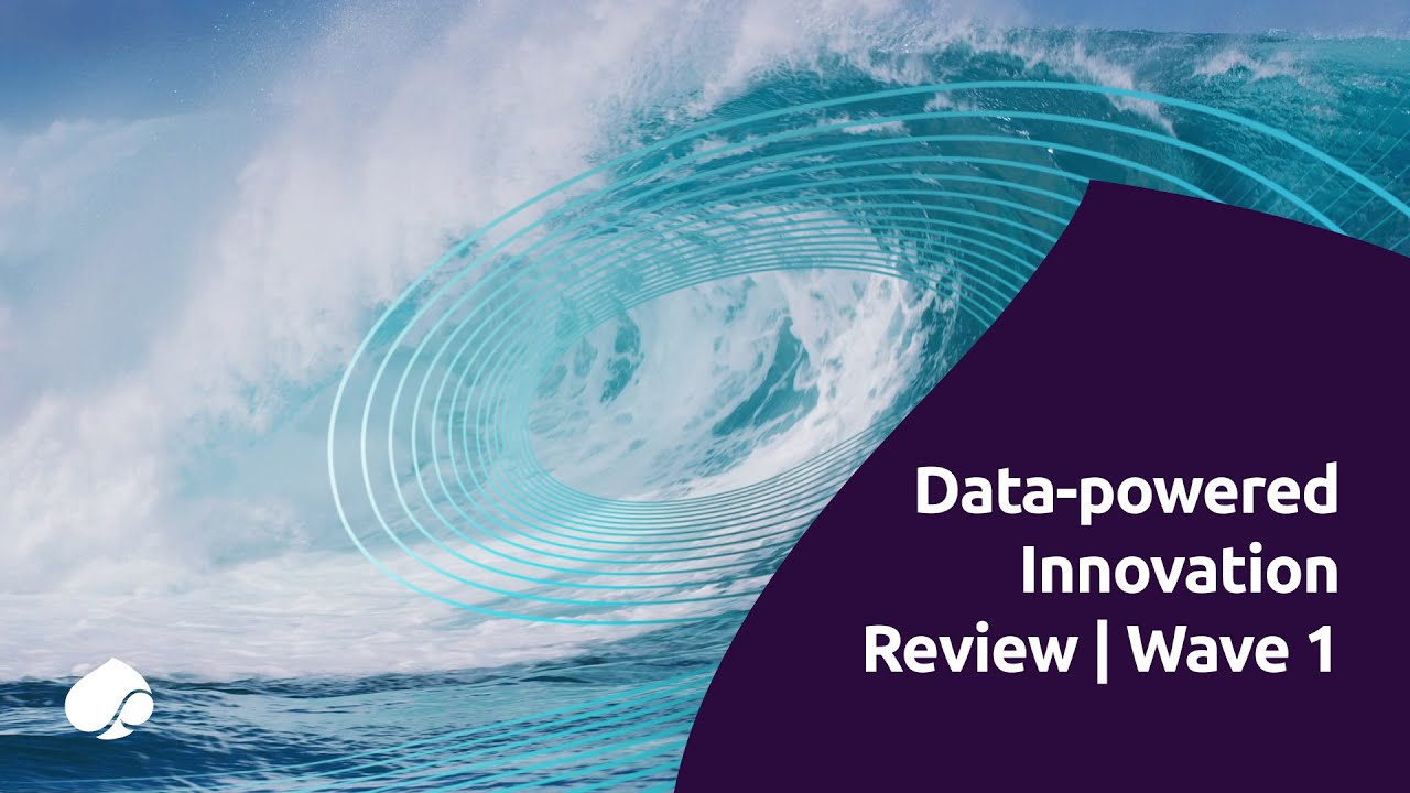 Data-powered Innovation Review | Wave 1