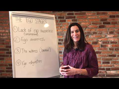 What stage of ego are you in?