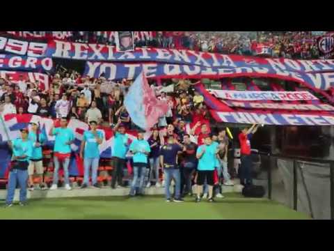 "MEDELLIN vs Millonarios 2019 - La ciudad y las tribunas están de fiesta" Barra: Rexixtenxia Norte • Club: Independiente Medellín