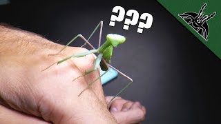 BIG BIGGER BIIIIIIIGER!