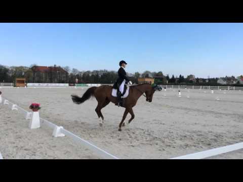 2015 FEI Eventing 2* star Dressage Test-B