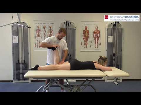 Meniskustests - Apley-Test