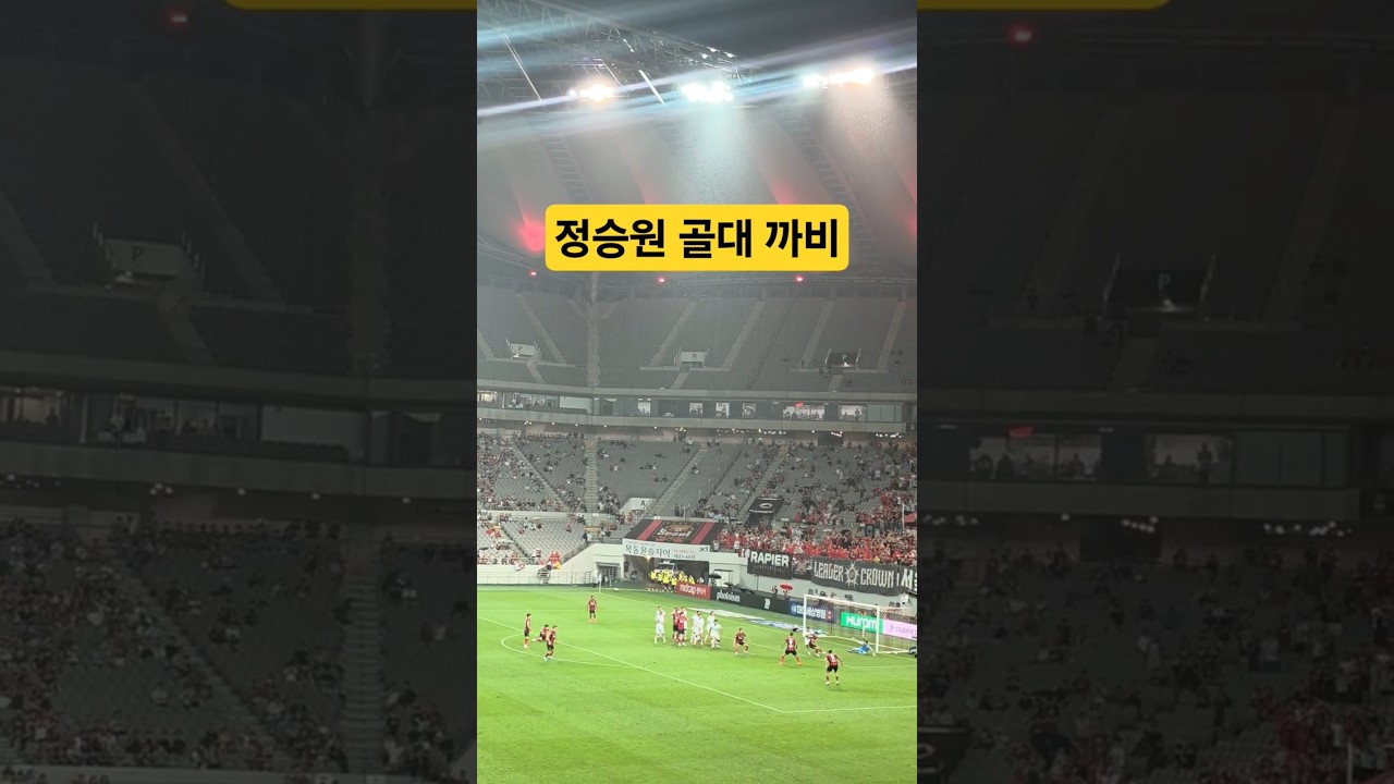FC서울 vs 포항 #축구 #fc서울 #football #k리그 #정승원