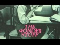 The Wonder Stuff - Hank and John