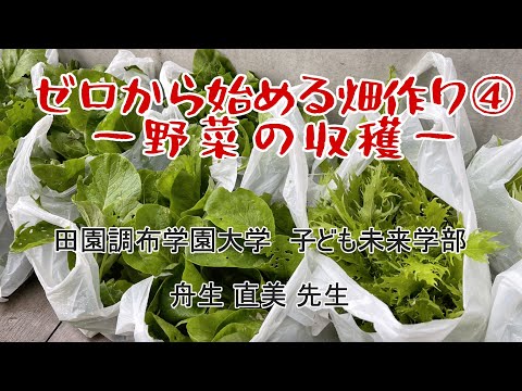 022:ゼロから始める畑作り④ー野菜の収穫ー【子どもゆうちゅう部】
