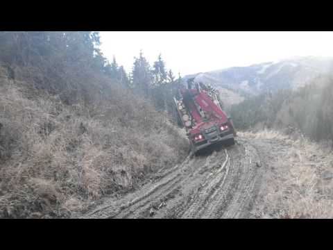 Holztransport extrem