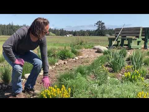Mosa names flowers in mound