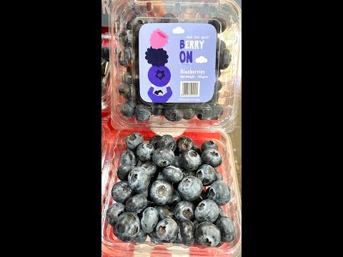 A grade fresh blueberry, packaging type: carton, packaging s...