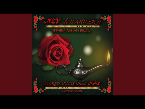 Şu Benim Divane Gönlüm (Instrumental)