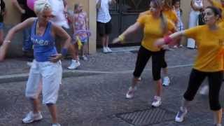 preview picture of video 'Esibizione Zumba Notte Bianca Busto Garolfo 13 luglio 2013'