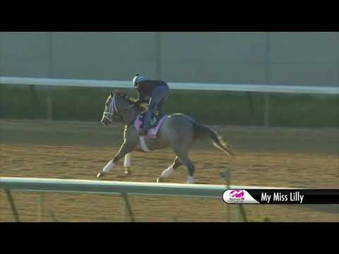 My Miss Lilly Gallop 4.29.18