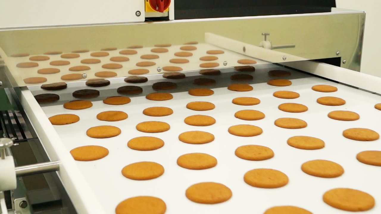 Metal Detector | The cookies | Bulk