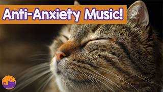 Deep Relaxation Music for Cats | 11 Hour Sleep & Stress Relief Soundscape 🐱