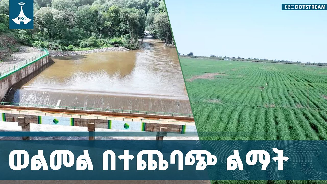 ከ12 ሺህ በላይሄክታር መሬት የሚያለማው የወልመል መስኖ ግድብ ETV | EBC | EBCDOTSTREAM
