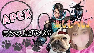 🌀『PS5版』APEX #6» 半月振りぐらいにゲームするｗｗ