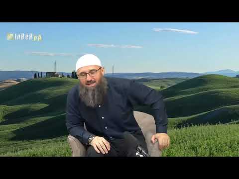 Da li je u redu da uzimamo samo farzove abdesta tokom ramazana? - Elvedin Pezić