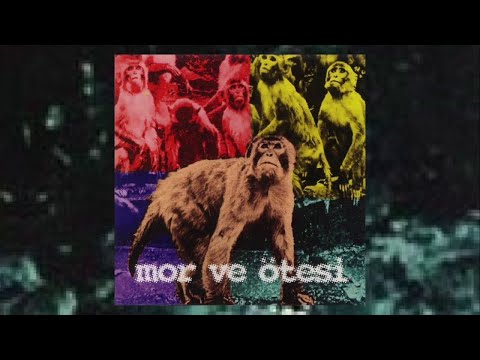 Video thumbnail for 23