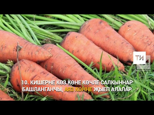 Тәмле кишер үстерү өчен 10 киңәш