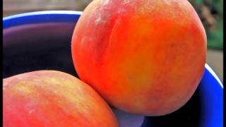 Nanci Griffith - "Love at the Five and Dime"