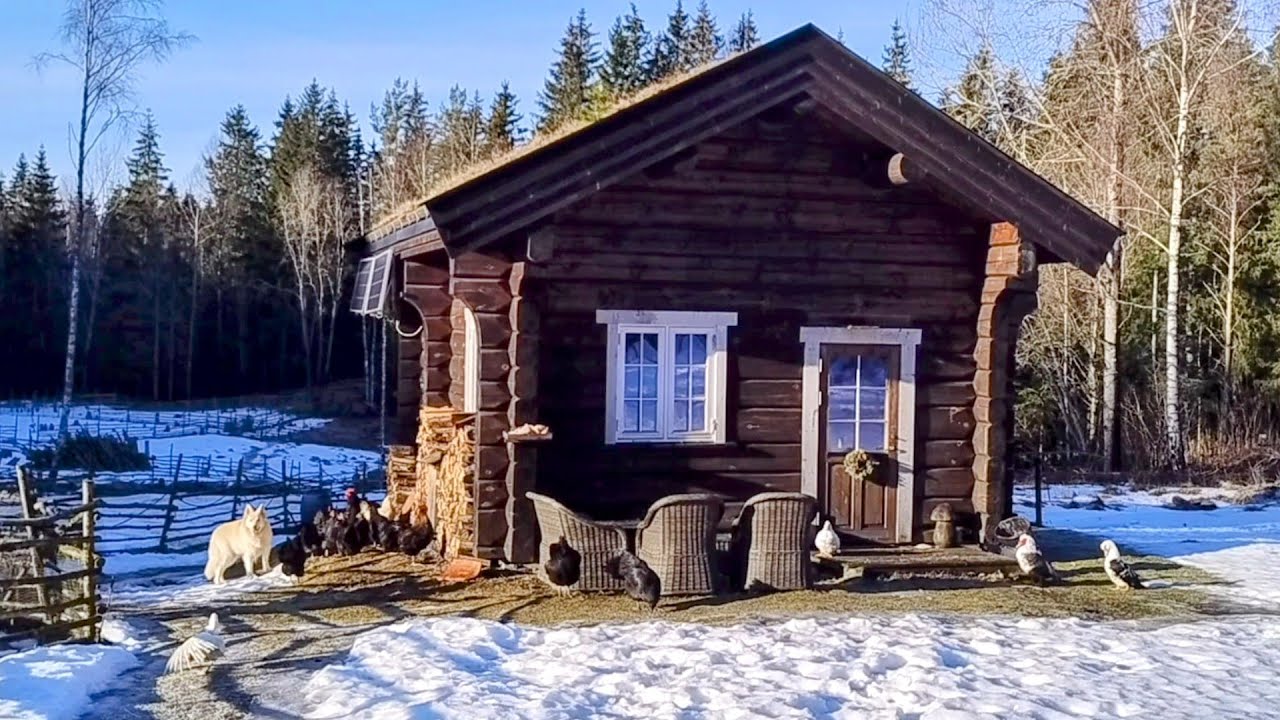 Off Grid Farmlife in winter Norway, Returns of the Sun | Homestead Diary February