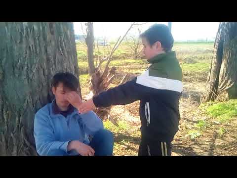 Humor 2018 3 shokët