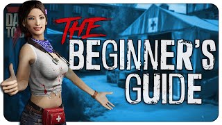 The Beginner