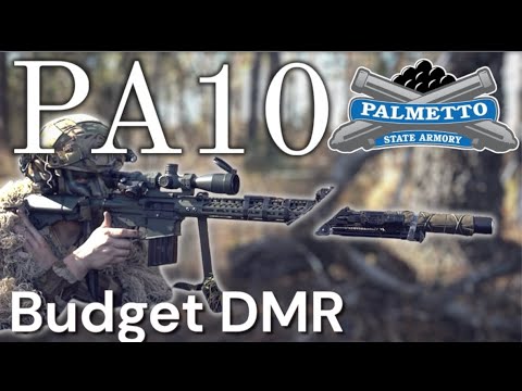 PA10 .308 - Best Value DMR?