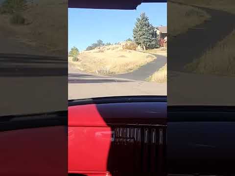 1954 Chevrolet 3100 (CC-1634470) for sale in Morrison, Colorado