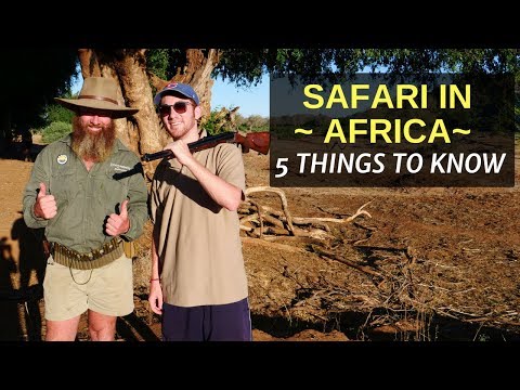 download lagu mp3 mp4 Tanzania Safari Tours Price, download lagu Tanzania Safari Tours Price gratis, unduh video klip Tanzania Safari Tours Price