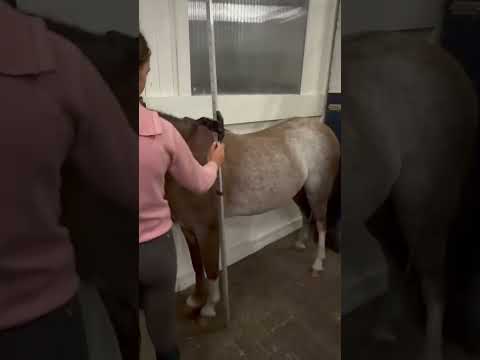 Measurement video