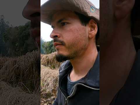 Um território moldado pela natureza e pela história.