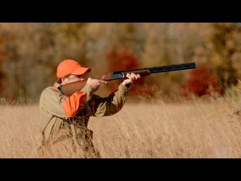 Franchi Instinct L Shotgun