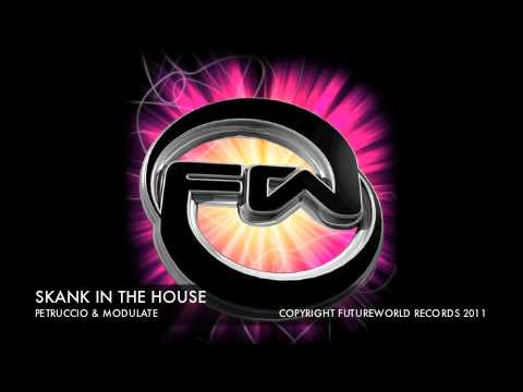 SKANK IN THE HOUSE - PETRUCCIO & MODULATE