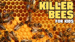 Killer Bees for Kids | Learn all about these Africanized honey bees