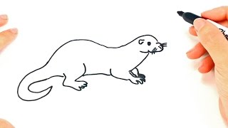 How to draw a Otter Step by Step | Otter Drawing Lesson