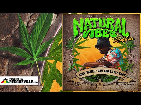 Busy Signal - Can You Be My Baby [Natural Vibes Riddim | Official Audio 2024]