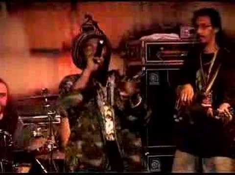 Omar PERRY Live "Man free"