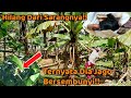 Burung Ini Kabur Dari Sarang Ternyata Jago Bersembunyi