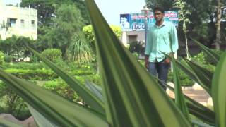 preview picture of video 'Pasivadi manasu telugu short film'