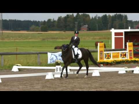 Leino Ida-Sofia & Gran torino - Helppo C1 @ Show Jumping & Dressage @ Highvillage 3.-4.9.2016