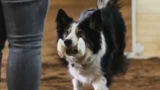 Felix Ninth birthday