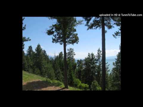 Joy Wellboy- Lay Down Your Blade