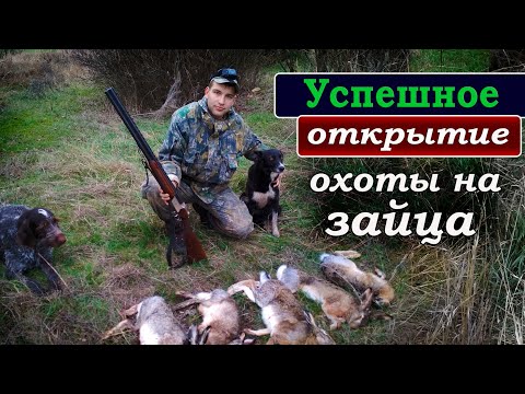 Успешное открытие охоты на зайца