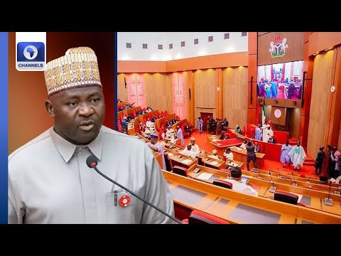 Screening Of General Musa As Defence Minister | LIVE