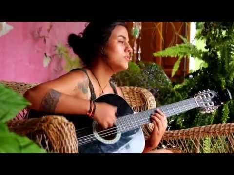 Cante a paz - Planta e Raíz