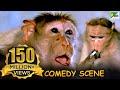 Monkey Funny Scene Comedy Scene Jawab Hum Denge Jackie Shroff Shatrughan Sinha Sridevi HD