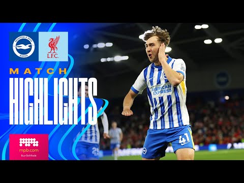 bg-highlight