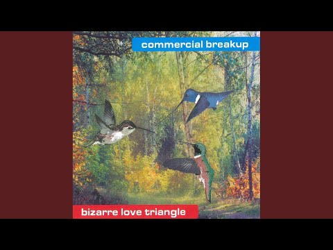 Little Bear (DJ Dsl Remix)