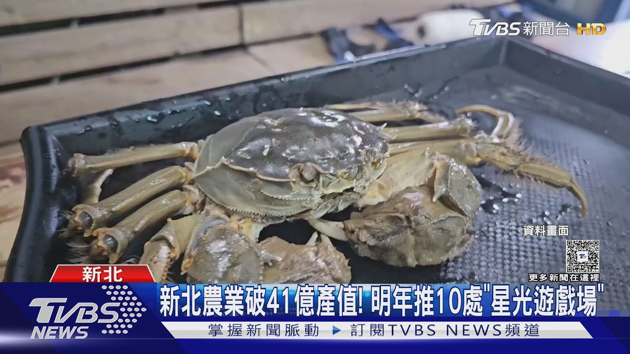 新北農業破41億產值！　明年推10處「星光遊戲場」